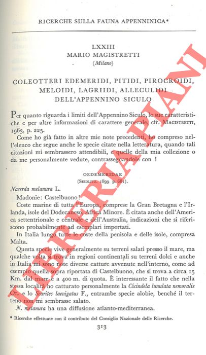 MAGISTRETTI Mario - - Ricerche sulla fauna appenninica. Coleotteri Edemeridi, Pitidi, Pirocroidi, Meloidi, Lagriidi, Alleculidi dell'Appennino Siculo.