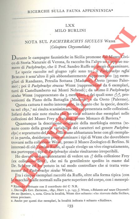 BURLINI Milo - - Ricerche sulla fauna appenninica. Nota sul Pachybrachys siculus Weise  (Coleoptera Chrysomelidae) .