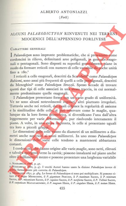ANTONIAZZI Alberto - - Alcuni Palaeodictyon rinvenuti nei terreni miocenici dell'Appennino forlivese.