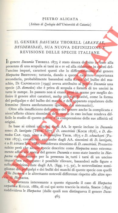 ALICATA Pietro - - Il genere Dasumia Thorell (Araneae, Dysderidae) sua nuova deifnizione e revisione delle specie italiane.