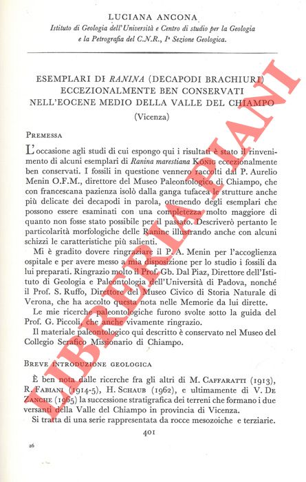 ANCONA Luciana - - Esemplari di Ranina (Decapodi Brachiuri) eccezionalmente ben conservati nell'Eocene medio della valle del Chiampo (Vicenza) .