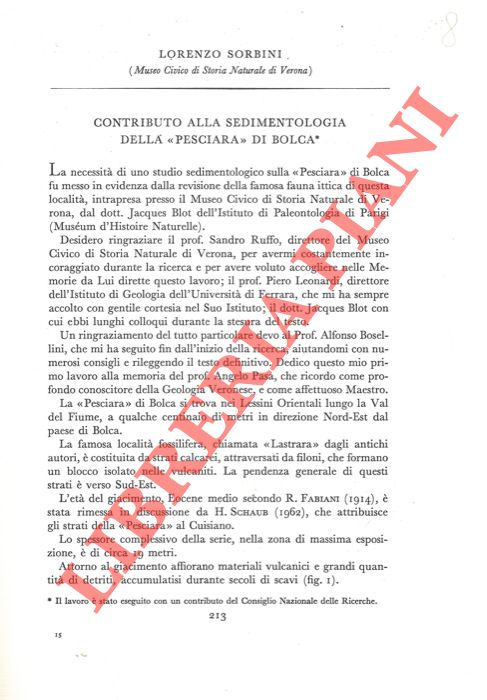 SORBINI Lorenzo - - Contributo alla sedimentologia della 'Pesciara' di Bolca.