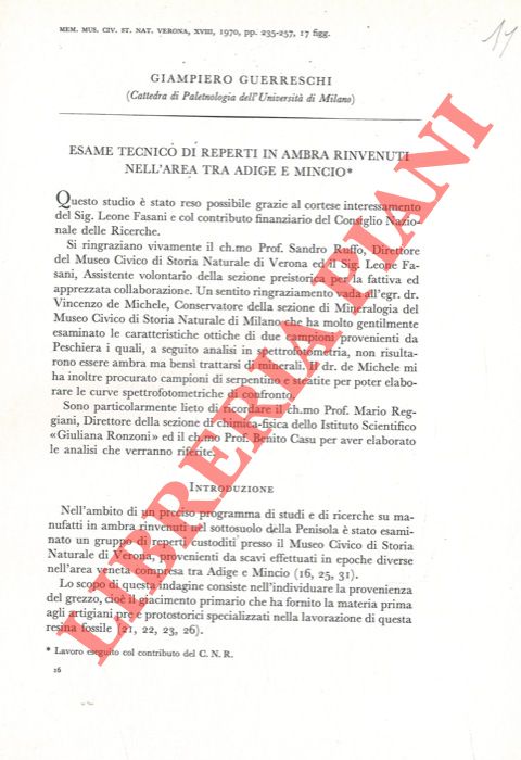 GUERRESCHI Giampiero - - Esame tecnico di reperti in ambra rinvenuti nell'area tra Adige e Mincio.
