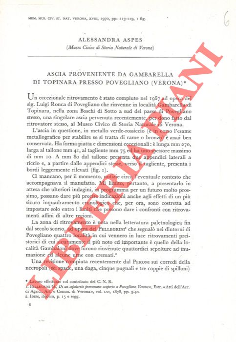 ASPES Alessandra - - Ascia proveniente da Gambarella di Topinara presso Povegliano (Verona) .