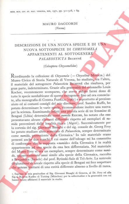 DACCORDI Mauro - - Descrizione di una nuova specie e di una nuova sottospecie di Chrysomela appartenenti al sottogenere Palaeosticta Bechyne' (Coleoptera Chrysomelidae) .