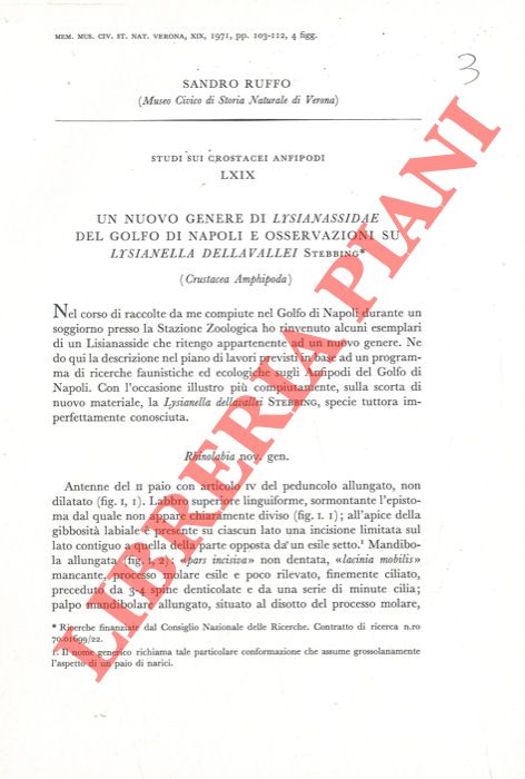 RUFFO Sandro - - Un nuovo genere di Lysianella dellavallei Stebbing (Crustacea Amphipoda) .