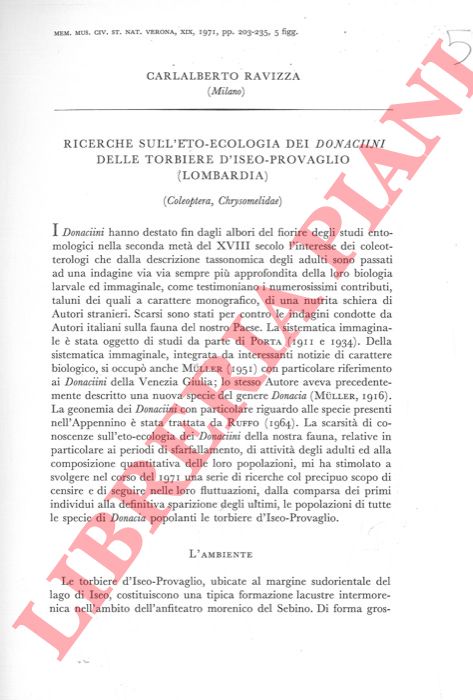 RAVIZZA Carlalberto - - Ricerche sull'eto-ecologia dei Donaciini delle torbiere d'Iseo-Provaglio (Lombardia) (Coleoptera, Chrysomalidae) .