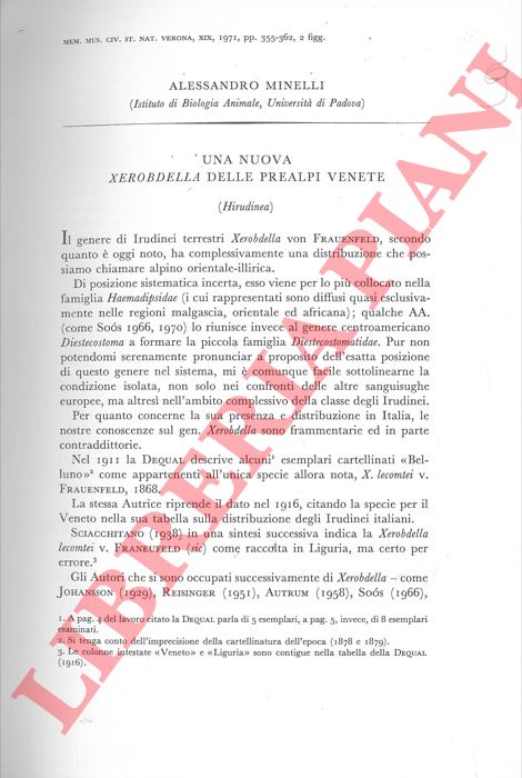 MINELLI A. - - Una nuova Xerobdella delle Prealpi Venete (Hirudinea) .