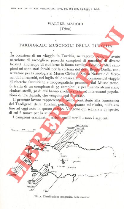 MAUCCI Walter - - Tardigradi muscicoli della Turchia.