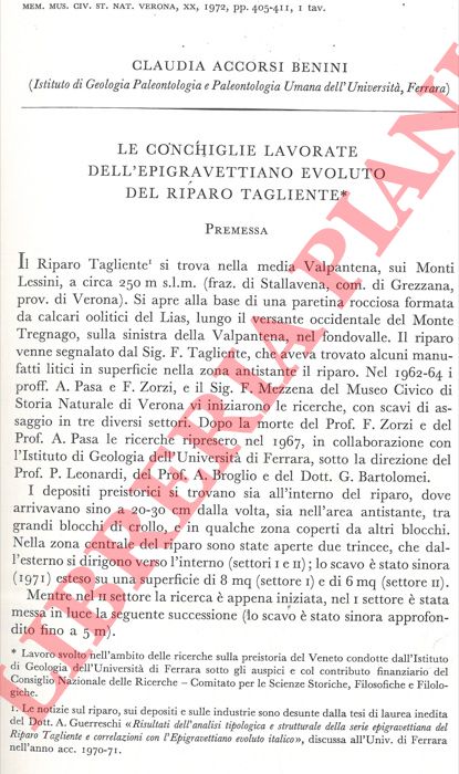 ACCORSI BENINI Claudia - - Le conchiglie lavorate dell'Epigravettiano evoluto del Riparo Tagliente.