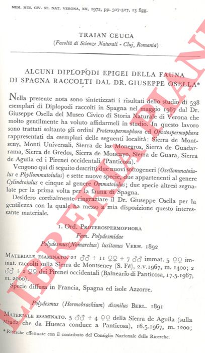 CEUCA Traian - - Alcuni Diplopodi epigei della fauna di Spagna raccolti dal Dr. Giuseppe Osella.