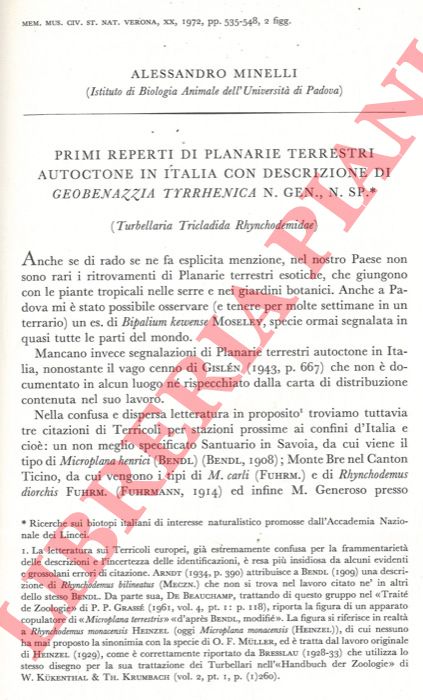 MINELLI Alessandro - - Primi reperti di Planarie terrestri autoctone in Italia con descrizione di Geobenazzia tyrrhenica n.gen., n.sp. (Turbellaria Tricladida Rhynchodemidae) .