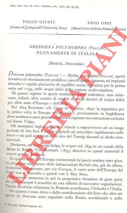 GIUSTI Folco - OPPI Enzo - - Dreissena polymorfa (Pallas) nuovamente in Italia.