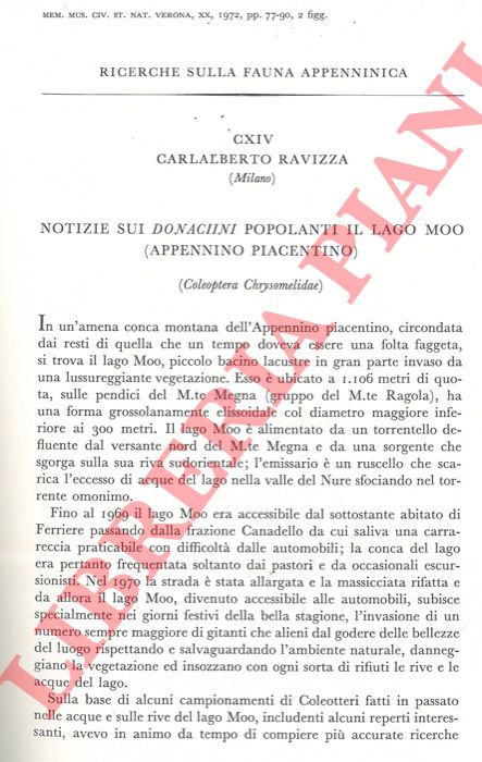 RAVIZZA Carlalberto - - Ricerche sulla fauna appenninica. Notizie sui Donaciini popolanti il lago Moo (Appennino Piacentino) (Coleoptera Chrysomelidae) .