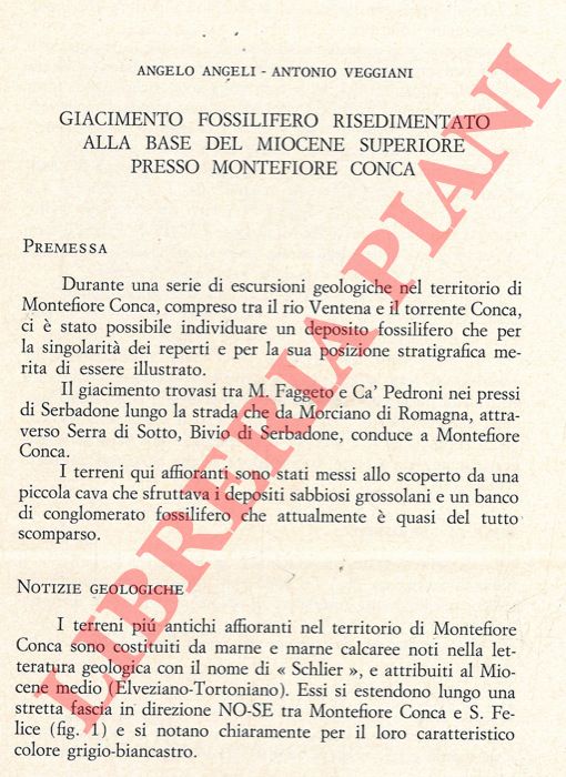 ANGELI Angelo - VEGGIANI Antonio - - Giacimento fossilifero risedimentato alla base del Miocene superiore presso Montefiore Conca.