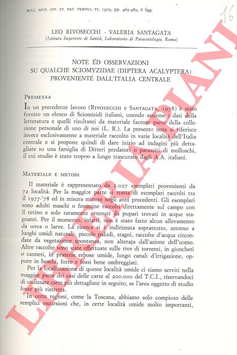RIVOSECCHI Leo - SANTAGATA Valeria - - Note ed osservazioni su qualche Sciomyzidae (Diptera Acalyptera) proveniente dall'Italia centrale.