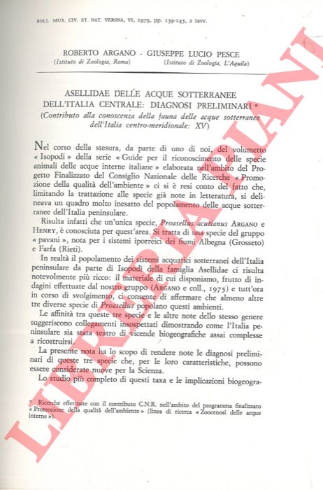 ARGANO Roberto - PESCE Giuseppe Lucio - - Asellidae delle acque sotterranee dell'Italia centrale: diagnosi preliminari.