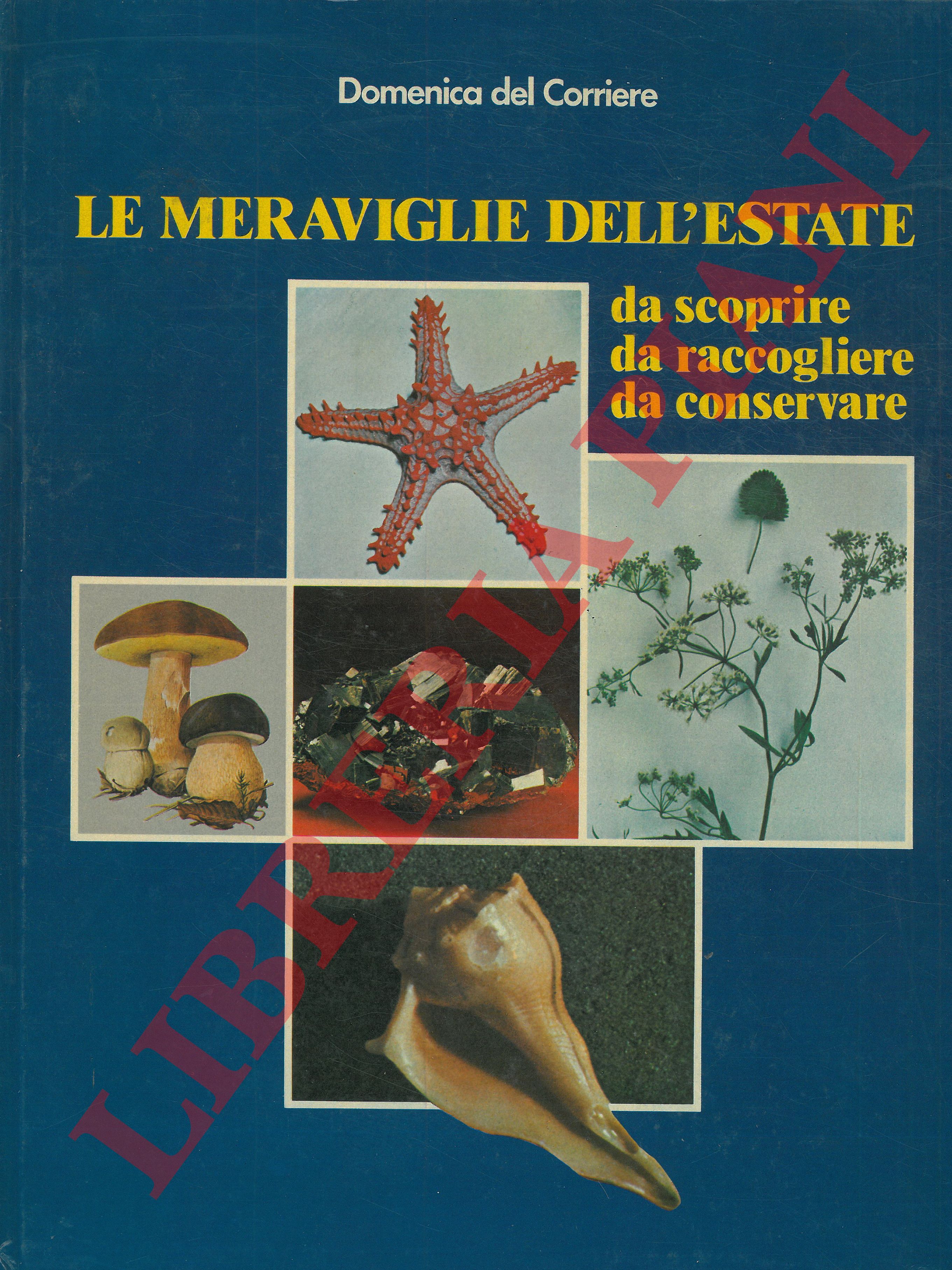- - Le meraviglie dell'estate, da scoprire, da raccogliere, da conservare.