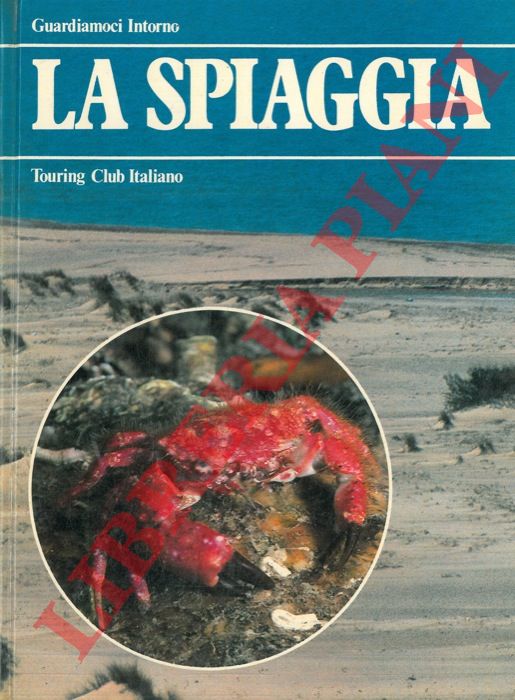 - - La spiaggia.