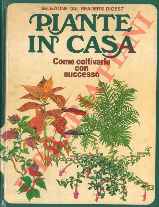 AA. VV. - - Piante in casa. Come coltivarle con successo.