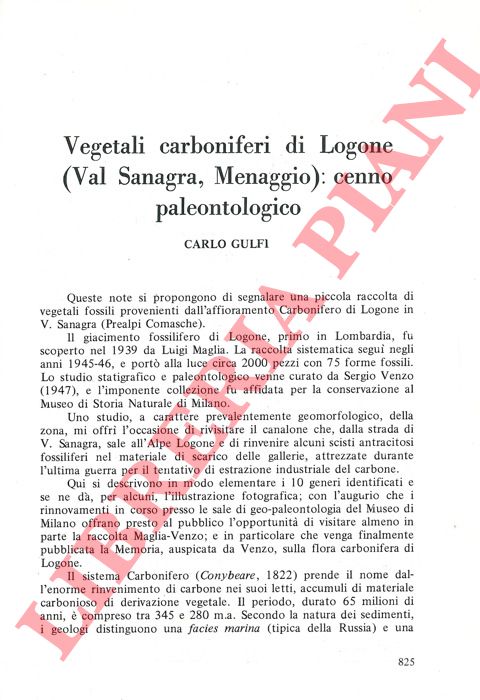 GULFI Carlo - - Vegetali carboniferi di Logone (Val Sanagra, Menaggio) : cenno paleontologico.