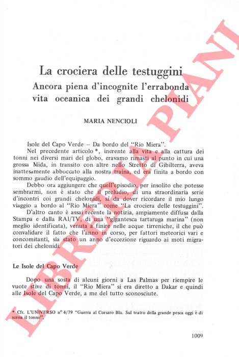 NENCIOLI Maria - - La crociera delle testuggini. Ancora piena d'incognite l'errabonda vita oceanica dei grandi Chelonidi.