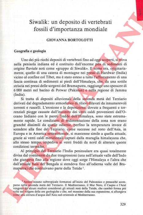 BORTOLOTTI Gianna - - Siwalik: un deposito di vertebrati fossili d'importanza mondiale.