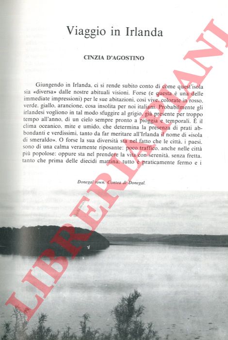 D'AGOSTINO Cinzia - - Viaggio in Irlanda.