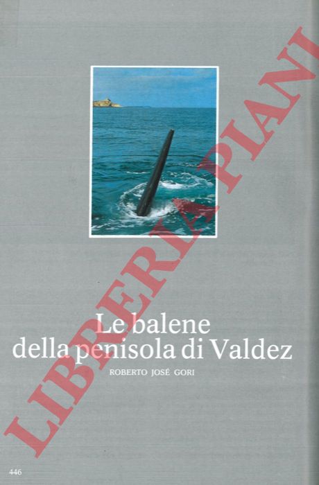 GORI Roberto Jos - - Le balene della penisola di Valdez.