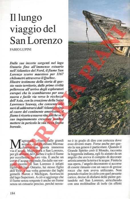 LUPINI Fabio - - Il lungo viaggio del San Lorenzo.