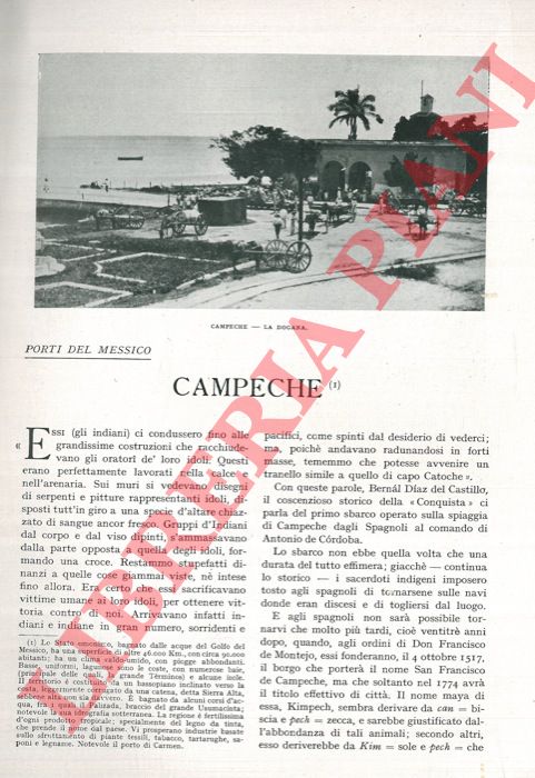 CALLEGARI G. V. - - Campeche.