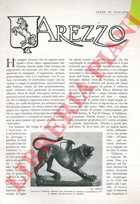 OXILIA Manfredi - - Arezzo.