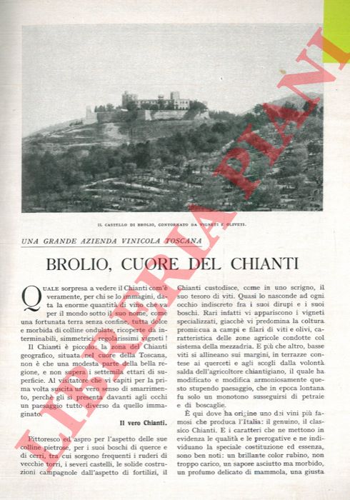 GESTRI - - Brolio, cuore del Chianti. Una grande azienda vinicola toscana.