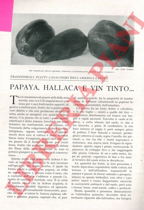 LAMBARDI Quinio - - Tradizionali piatti casalinghi dell'America Latina. Papaya, hallaca e vin tinto...