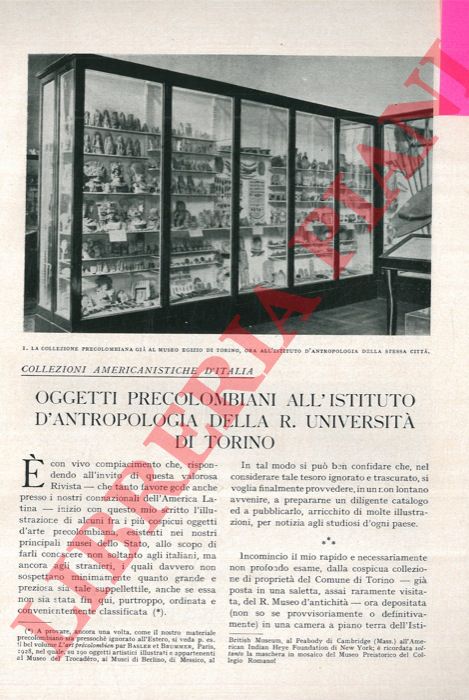 CALLEGARI G. V. - - Oggetti precolombiani all'Istituto d'Antropologia della R. Universit di Torino.