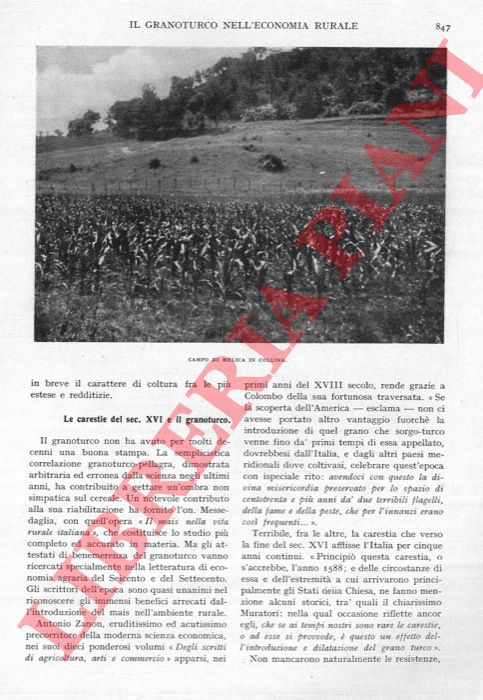 DI VALLEPIANA Ugo - - Una campagna alpinistica da ricordare. Scarponi italiani sul Caucaso (estate 1929) .