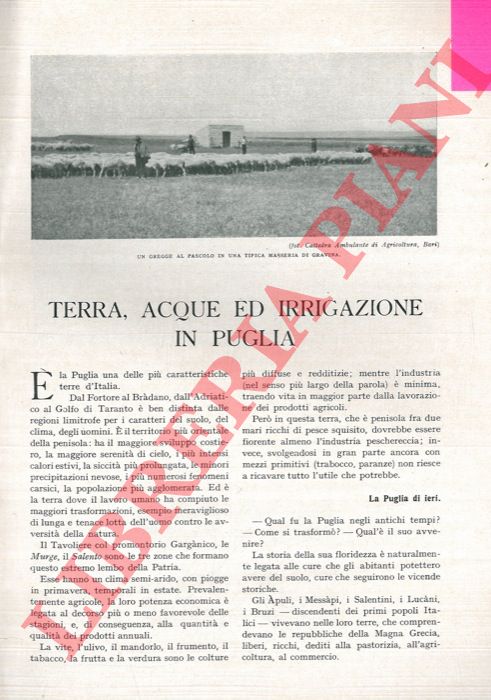 TREVISANI Piero - - Terra, acque ed irrigazione in Puglia.