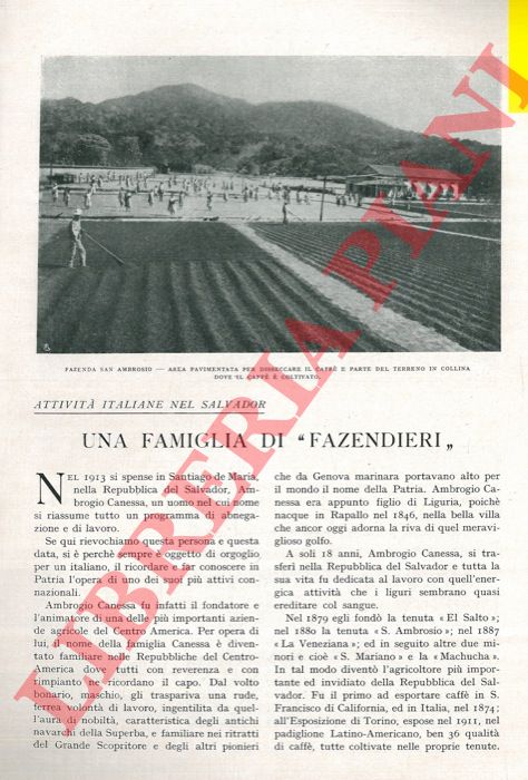 ROSSI Giuseppe - - Attivit italiane nel Salvador. Una famiglia di 'fazendieri' .