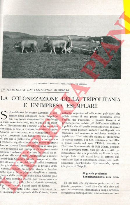 MORANDI A. - - La colonizzazione della Tripolitania e un'impresa esemplare.