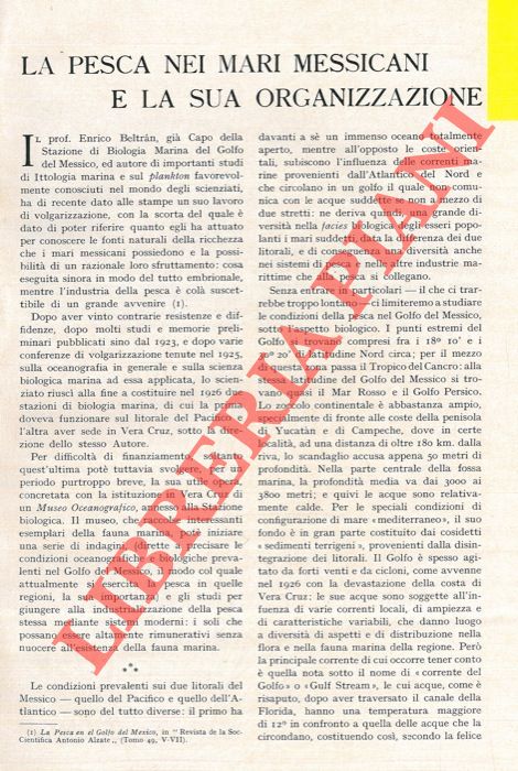 FRANCI U. - - La pesca nei mari messicani e la sua organizzazione.