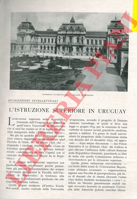 IMPERATORI Ugo E. - - L'istruzione superiore in Uruguay.