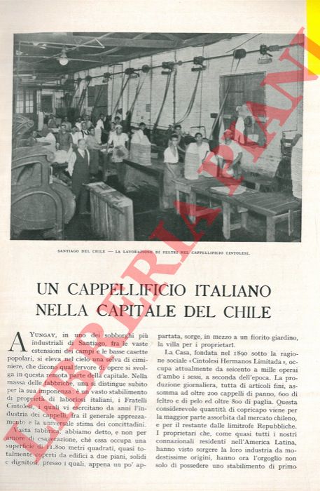 CHIORINO Osvaldo - - Un cappellificio italiano nella capitale del Chile.