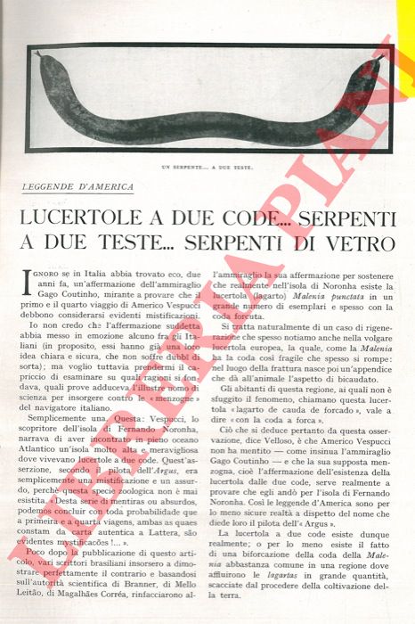RONNA Ernesto - - Leggende d'America. Lucertole a due code...serpenti a due teste...serpenti di vetro.