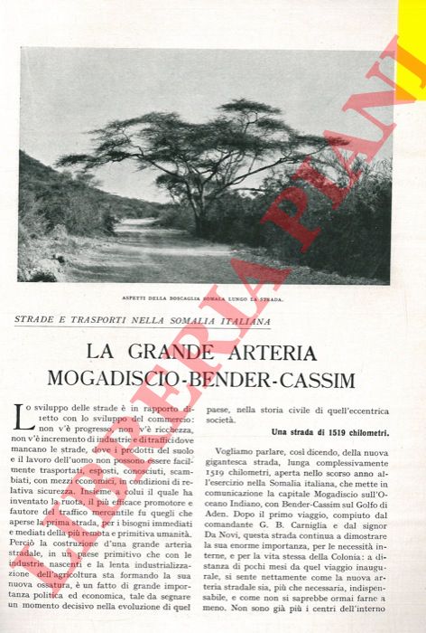 SPECTATOR - - Strade e trasporti nella Somalia italiana. La grande arteria Mogadiscio-Bender-Cassim.