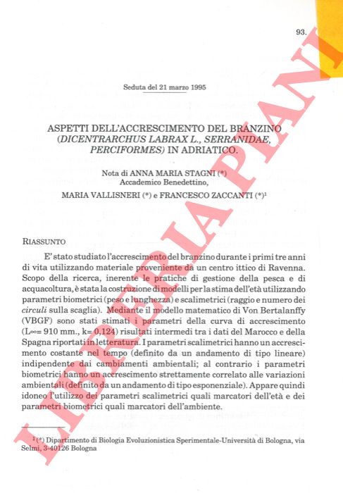 STAGNI Anna Maria - VALLISNERI Maria - ZACCANTI Francesco - - Aspetti dell'accrescimento del branzino (Dicentrarchus labrax L. , Serranidae, Perciformes) in Adriatico.