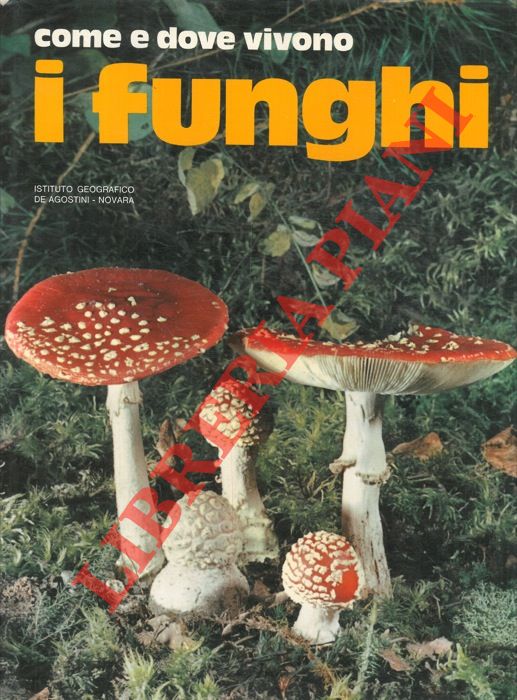 (TOSCO Uberto) - - Come e dove vivono i funghi.