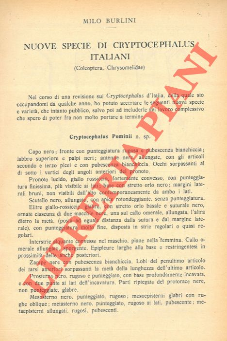 BURLINI Milo - - Nuove specie di Cryptocephalus italiani (Coleoptera, Chrysolmelidae) .