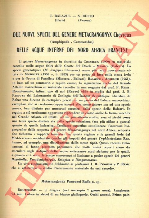 BALAZUC J. - RUFFO S. - - Due nuove specie del genere Metacrangonyx Chevreux (Amphipoda-Gammaridae) delle acque interne del Nord Africa francese.