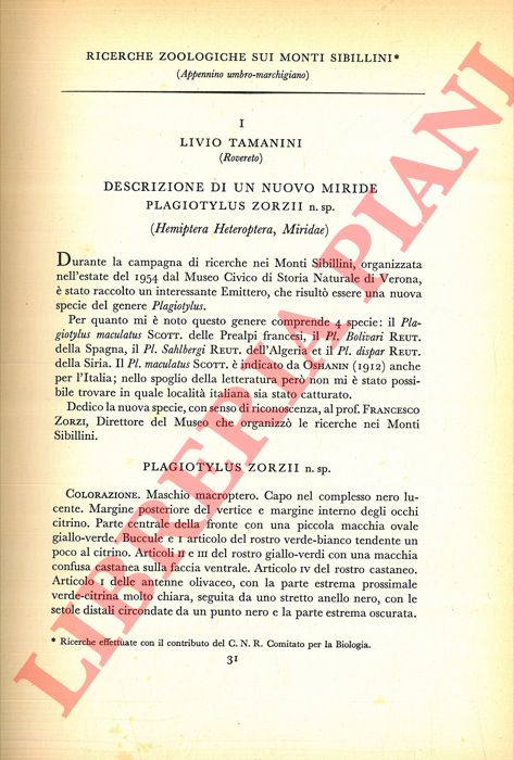 TAMANINI Livio et AA. - - Ricerche zoologiche sui Monti Sibillini. I. Descrizione di un nuovo miride Palgyotylus Zorzii n. sp. (Hemiptera Heteroptera, Miridae) . II. Descrizione dello Ephippiger Ruffoi n. sp. (Orthoptera-Ephippigeridae) . III. Caratteri morfologici e cenni biologici sull'Aradus frigidus Kiritscenko (Hemiptera Heteroptera, Aradidae) . IV. Plcoptres de Monts Sibbillins. V. Crostacei Isopodi dei Monti Sibillini. VI. I lombrichi dei Monti Sibillini e la drilofauna degli Appennini. VII. Irudinei e Gordii dei Monti Sibillini. VIII. Una nuova specie della famiglia Leptophlebiidae Paraleptophlebia Ruffoi n. sp. IX. Coleoptera: 1-Haliplidae, Dytiscidae, Gyrinidae. X. Alcuni Odonati raccolti sui Monti Sibillini e notizia sulla geonemia in Italia del Lestes dryas Kirby e del Sympetrum flaveolum (L.) . XI. Coleoptera. 2. Cicindelidae, Carabidae. XII. Coleoptera. 3. Oedemeridae, Pyrochroidae, Meloidae, Serropalpidae, Lagriidae, Alleculidae. XIII. Coleoptera. 4. Staphylinidae. XIV. Coleoptera. 5. Dermestidae, Byrrhidae. XV. Araneen aus den Sibillinischen Bergen. XVI. Efemerotteri dei Monti Sibillini.