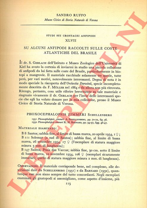 RUFFO Sandro - - Su alcuni Anfipodi raccolti sulle coste atlantiche del Brasile.
